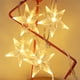 thumbnail image 4 of Matsuzay Lámpara de estrella de cinco puntos, adornos para festivales, accesorios de fotografía, línea de arte con luz LED, cadena de luz con Type3 NO3, 4 of 6