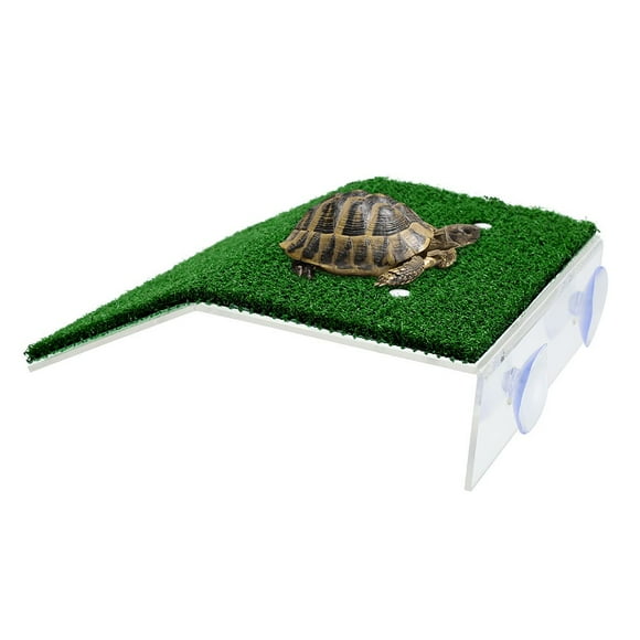 Plateforme de Pèlerinage pour Tortue Rampe pour Tortue Plateforme d'Escalade pour Tortue Ventouse Habitat Terrasse de Pèlerinage Échelle d'Escalade