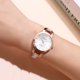 thumbnail image 1 of Reloj de pulsera informal para mujer, correa de malla de cuarzo, relojes de pulsera analógicos a la moda Wmkox8yii fajkfhkj1147, 1 of 2