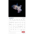 thumbnail image 3 of Canadian Geographic Marine Life | 2026 12x24" (Hanging) Square Wall Calendar, 3 of 9