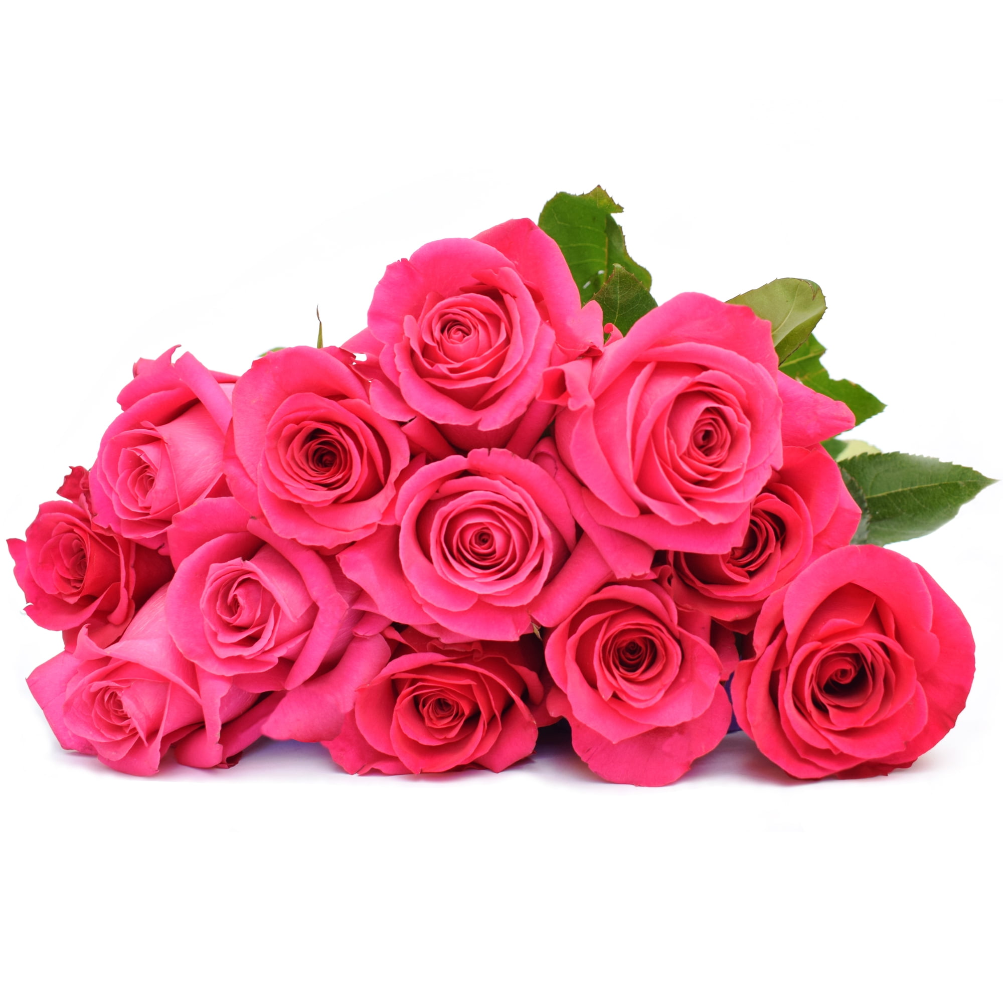 Pink Fresh Cut Roses