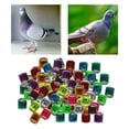 thumbnail image 4 of Paquete de 100 anillos de piezaza de carreras de aluminio de 8 mm para polluelos de aves Bantam Quail Mezcla Colco Bandas para piernas de paloma, 4 of 7