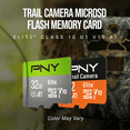 thumbnail image 4 of PNY 32GB Elite Class 10 U1 V10 A1 microSDHC Trail Camera Flash Memory Card – Read Up to 100MB/s, UHS-I, HD Photo & Video, Outdoor Camera, Tactile Use, Wildlife Enthusiasts (Packaging May Vary), 4 of 10