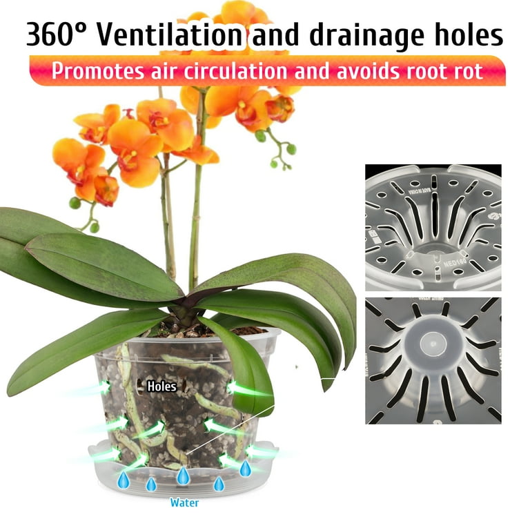 Fabulas Clear Orchid Pots with Saucers, 5.5 Inch, 8-Pack photo 3
