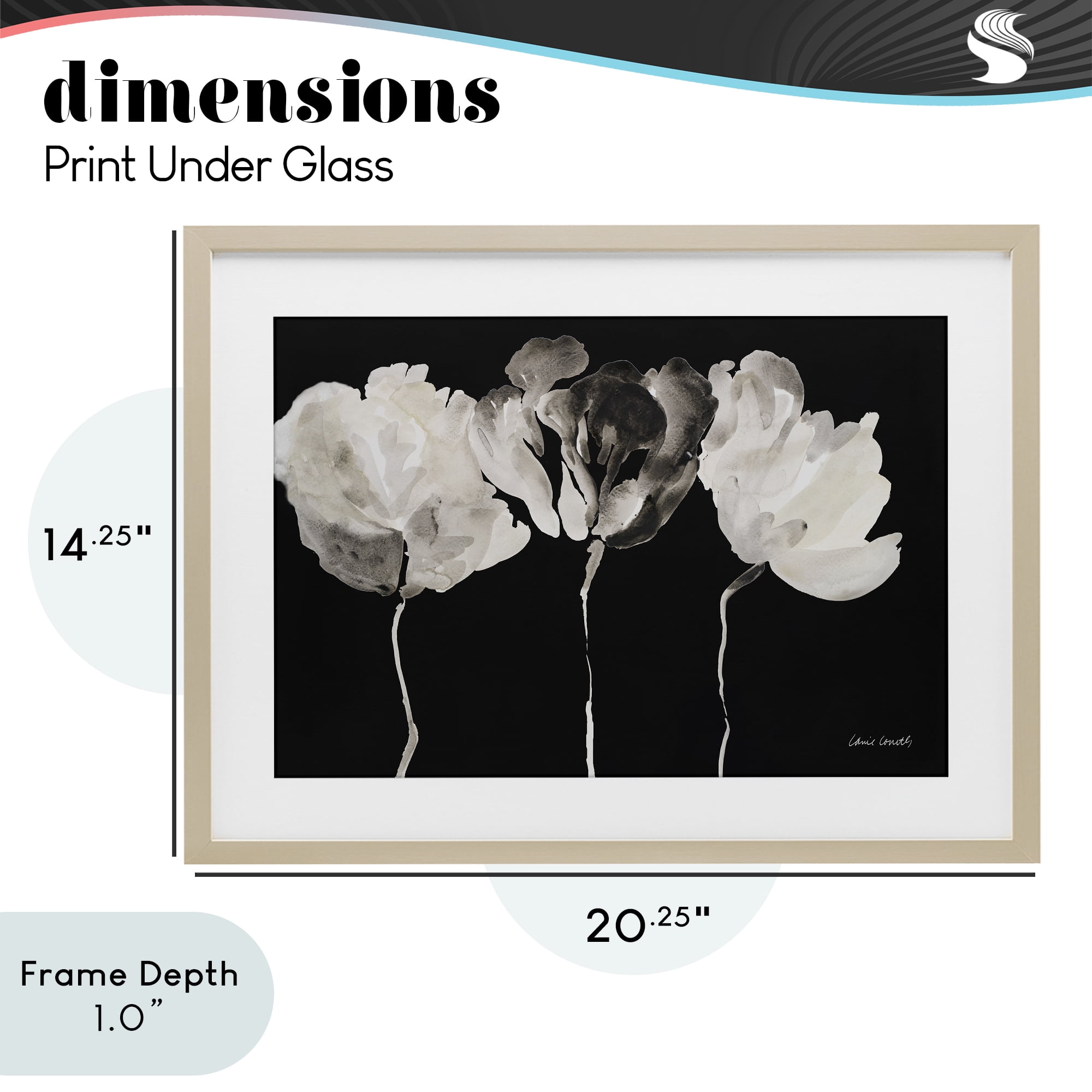 Stupell Industries Trio In Light On Black Birch Framed Print Under Glass, design by Lanie Loreth