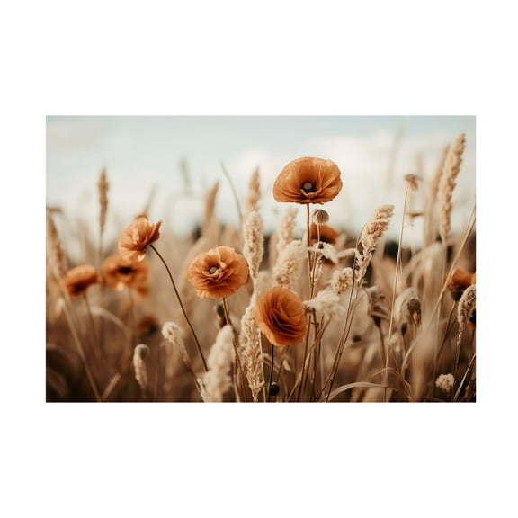 Trademark Fine Art Treechild Orange Poppy Field Canvas Wall Art