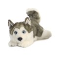 thumbnail image 1 of Aurora Peluches - Husky Lying 11 Pouces, 1 of 4