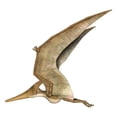 thumbnail image 2 of Flying Pteranodon Wall Mural by Wallmonkeys Peel and Stick Graphic (18 in H x 18 in W) WM99428, 2 of 4