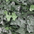 thumbnail image 4 of Sample Panel – Boston Ivy Green Wall (Small Sample), 4 of 26