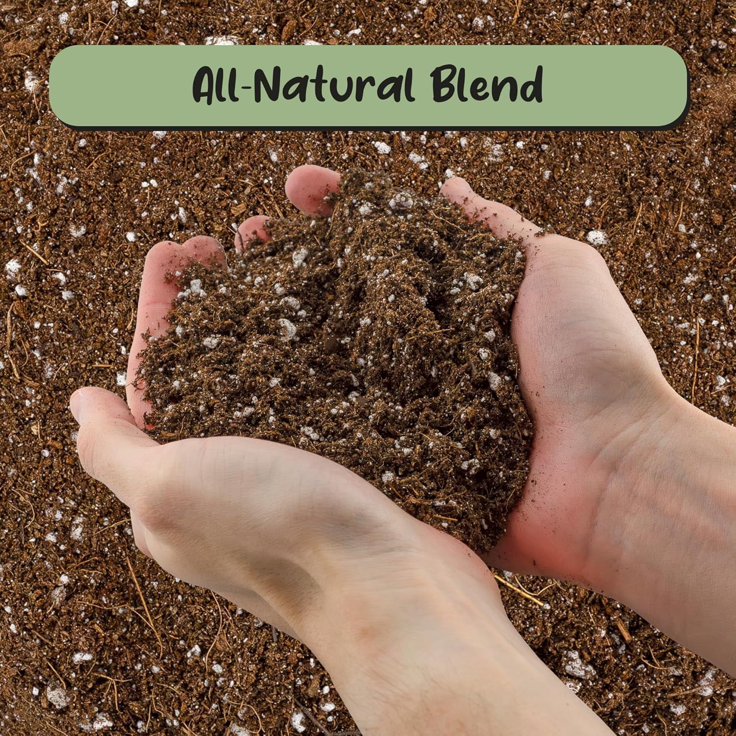 Desert Rose Potting Soil Mix (8 Quarts) Hand Blended Small Batch Soil Blend for Desert Rose Plant