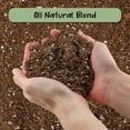 thumbnail image 3 of Desert Rose Potting Soil Mix (8 Quarts) Hand Blended Small Batch Soil Blend for Desert Rose Plant, 3 of 3
