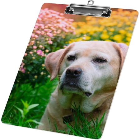 Clipboard Nursing Labrador Dog in The Garden Acrylic Clip Board with Low Profile Metal for A4 Paper Size Clip Hangable Office Work School