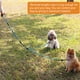 thumbnail image 3 of Correa para perros Correa reflectante para perros Correa de entrenamiento para perros para 2, 3 of 7