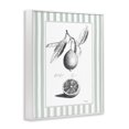 thumbnail image 3 of Stupell Industries Vintage Citrus Striped Border White Framed Giclee Art design by Lettered and Lined, 20 x 16, 3 of 8