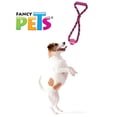 thumbnail image 4 of Juguete Agarradera Y Aro C/Pelota Pal Thread Fancy Pets ARO, 4 of 4
