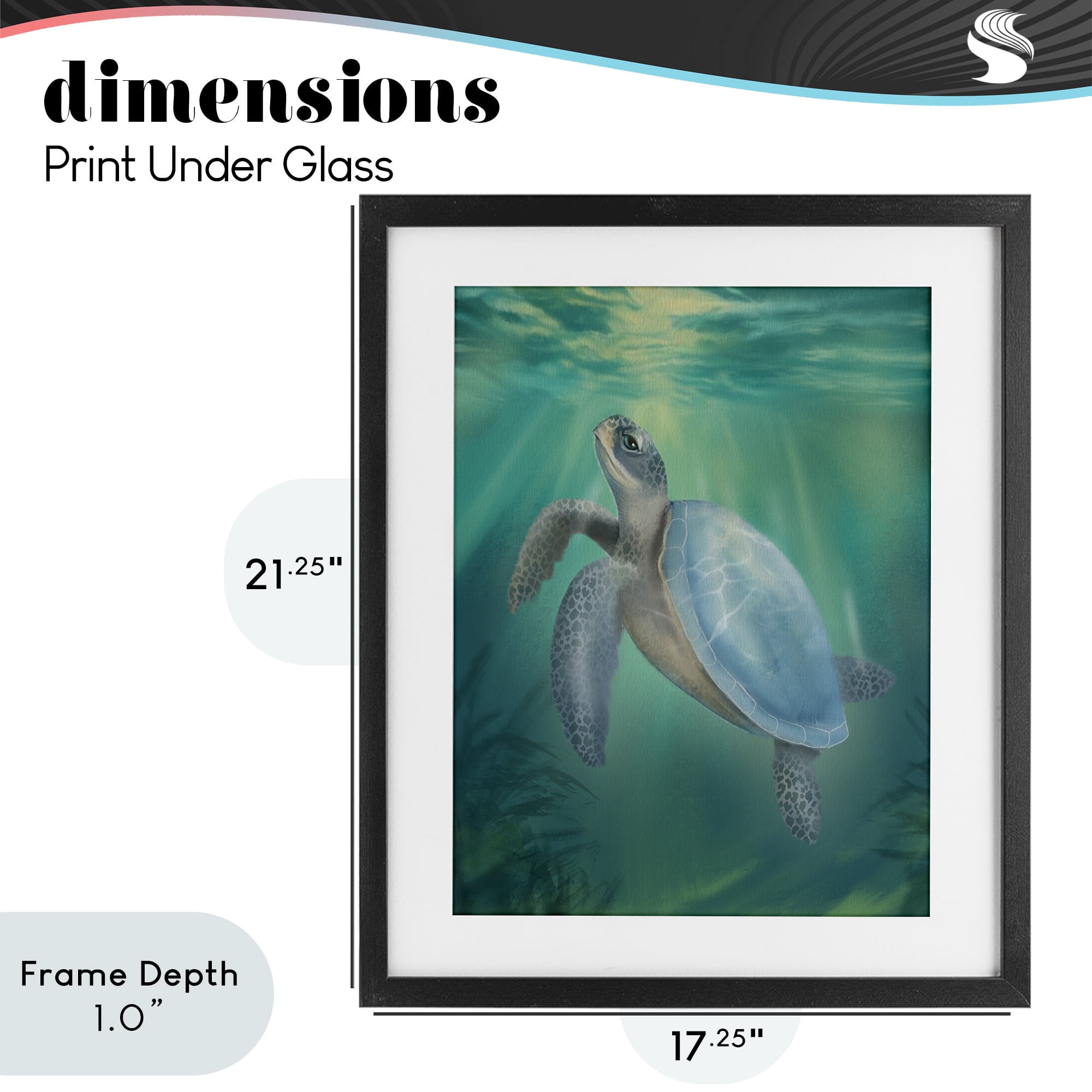 Stupell Industries Coastal Beach Sea Turtle Black Framed Print Under Glass, design by Matthew Piotrowicz