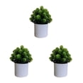 thumbnail image 2 of Bearachild 4 paquetes/lote fácil de limpiar planta falsa solución de bajo mantenimiento para plantas artificiales de interior hoja Bonsai tuerca Type1 NO1, 2 of 6