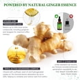 thumbnail image 2 of Ginger Nail Treatment, Ginger Cuticle Care Oil for Nails - 4 x 30ML, 2 of 9