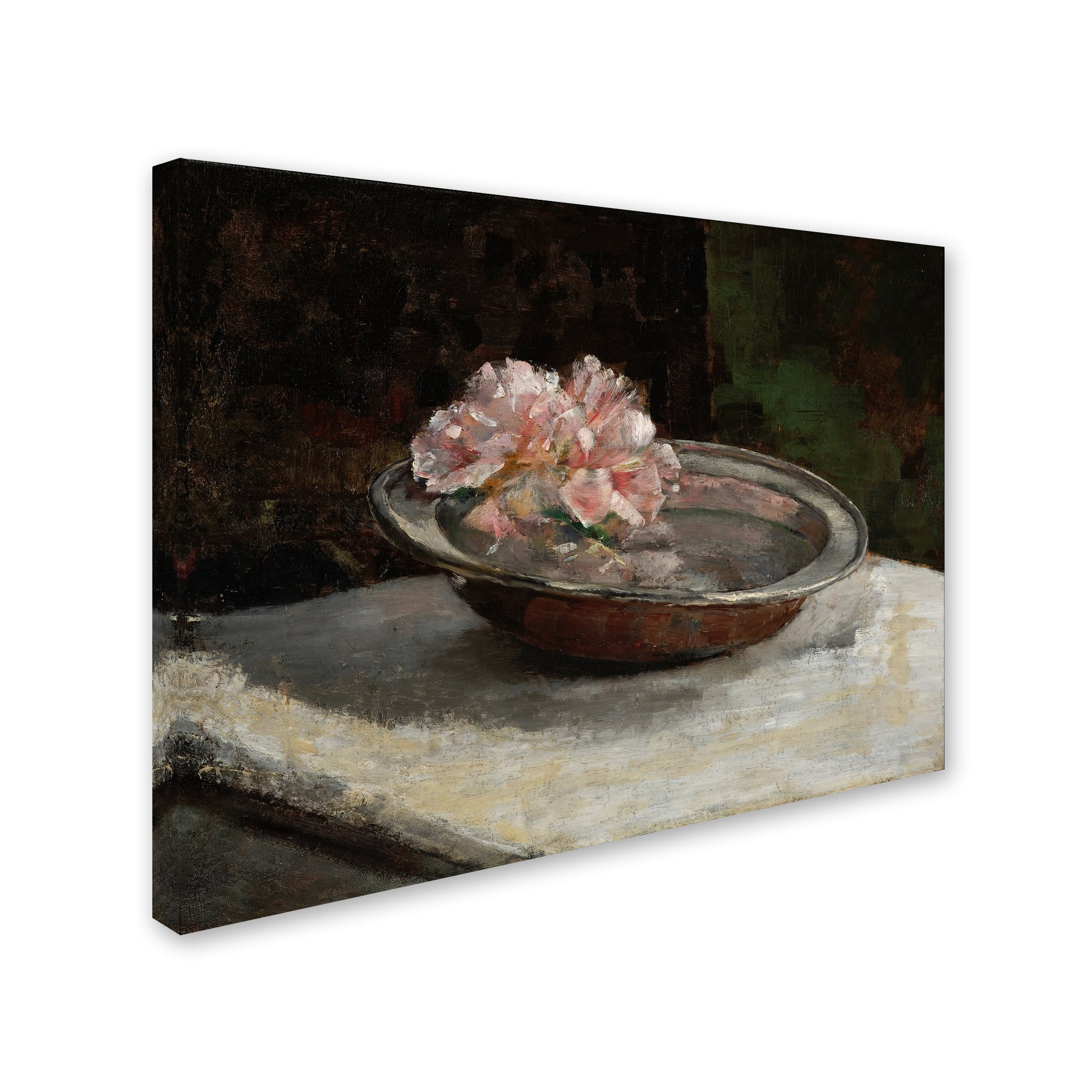 Trademark Fine Art 'Still Life' Canvas Art by Abbott Handerson Thayer