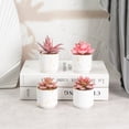 thumbnail image 4 of maskred 4pack/lot Exquisite Crafted Succulent Plant With Good Hand Feeling - Realistic Appearance Non-toxic ES1438-12, 4 of 6