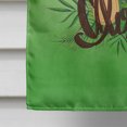 thumbnail image 4 of Carolines Treasures BB7449CHF Aloha Flip Flops Flag Canvas House Size, 4 of 4