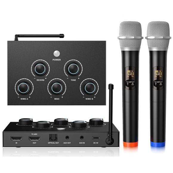 Sistema inalámbrico de micrófonos para karaoke FEKTIK con 2 micrófonos y alcance de 30 m