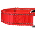thumbnail image 4 of Country Brook Petz - Reflective Nylon Martingale Dog Collar & Double Handle Leash, 4 of 7