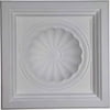 23 7/8"W x 23 7/8"H x 5 1/2"P Shell Ceiling Tile