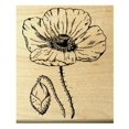 thumbnail image 1 of P25 Poppy Flower Rubber Stamp WM, 1 of 4