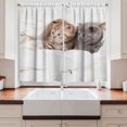 thumbnail image 2 of Ambesonne Animal Kitchen Curtains, Scottish Fold Kittens, 55"x39", White and Grey, 2 of 3