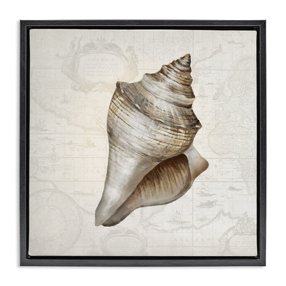 Stupell Industries Conch Shell over Vintage Map Animals Painting Black Floater Framed Canvas Art Print Wall Art, 18 x 18