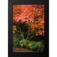 thumbnail image 2 of Geyman, Vitaly 17x24 Black Modern Framed Museum Art Print Titled - Fall Abundance IV, 2 of 5