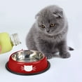 thumbnail image 4 of 2 Pcs Bol pour Chat avec 2 Cuillères à Nourriture Bol d'Eau Antidérapant en Acier Inoxydable pour Chat, 4 of 11