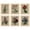 Flower Dictionary 6x8x10, variant on 97 Decor Fairycore 8x10 Vintage Fairy Poster Set, 16 Pieces