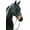 Black/White, variant on Henri de Rivel Pro Padded Dressage Bridle with Web Reins