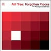 Alif Tree - Forgotten Places (Moodymann Remix) - Jazz - Vinyl