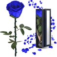 thumbnail image 1 of Rosas preservadas YAMPP Blue Rose Regalos para mujer, 1 of 7