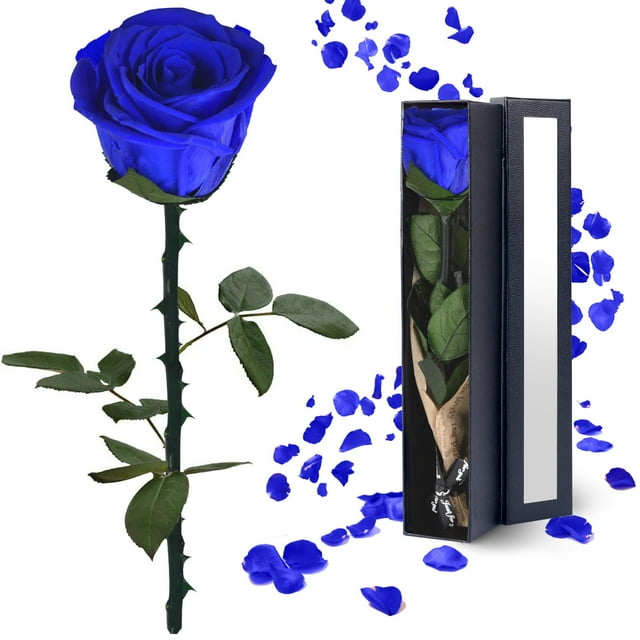 Rosas preservadas YAMPP Blue Rose Regalos para mujer