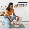 thumbnail image 4 of AVERYDAY 100% Waterproof Thicker Silicone Dog Food Mat, 0.63'' Raised Edge Bowl Mat for Food & Water, Non Slip Pet Feeding Placemat for Messy Drinkers, Perfect for Large Medium Small Breeds, 18"x10", 4 of 7