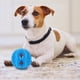 thumbnail image 4 of KAKOWELY Pelota de juguete para golosinas para perros, pelota de comida para perros, pelota de juguete para limpiar los dientes, juguete interactivo para perros, 4 of 4