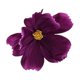 thumbnail image 2 of pstuiky Cabeza de flor de simulación cabeza de flor de seda decoración DIY material de flor falsa hecha a mano decoración de flores de simulación, 2 of 7
