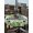 Green Ivory, variant on Outdoor Tablecloth with Umbrella Hole and Zipper, St. Patrick's Day Rectangle Table Cloth 60x102 Inch Waterproof Tablecloth, Spring Green Truck Clovers Flowers Plaid Picnic Table Cover for Patio