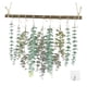 thumbnail image 1 of Decoración colgante de pared con hojas de eucalipto, adorno colgante, hojas artificiales 17x12 pulgadas, 1 of 9