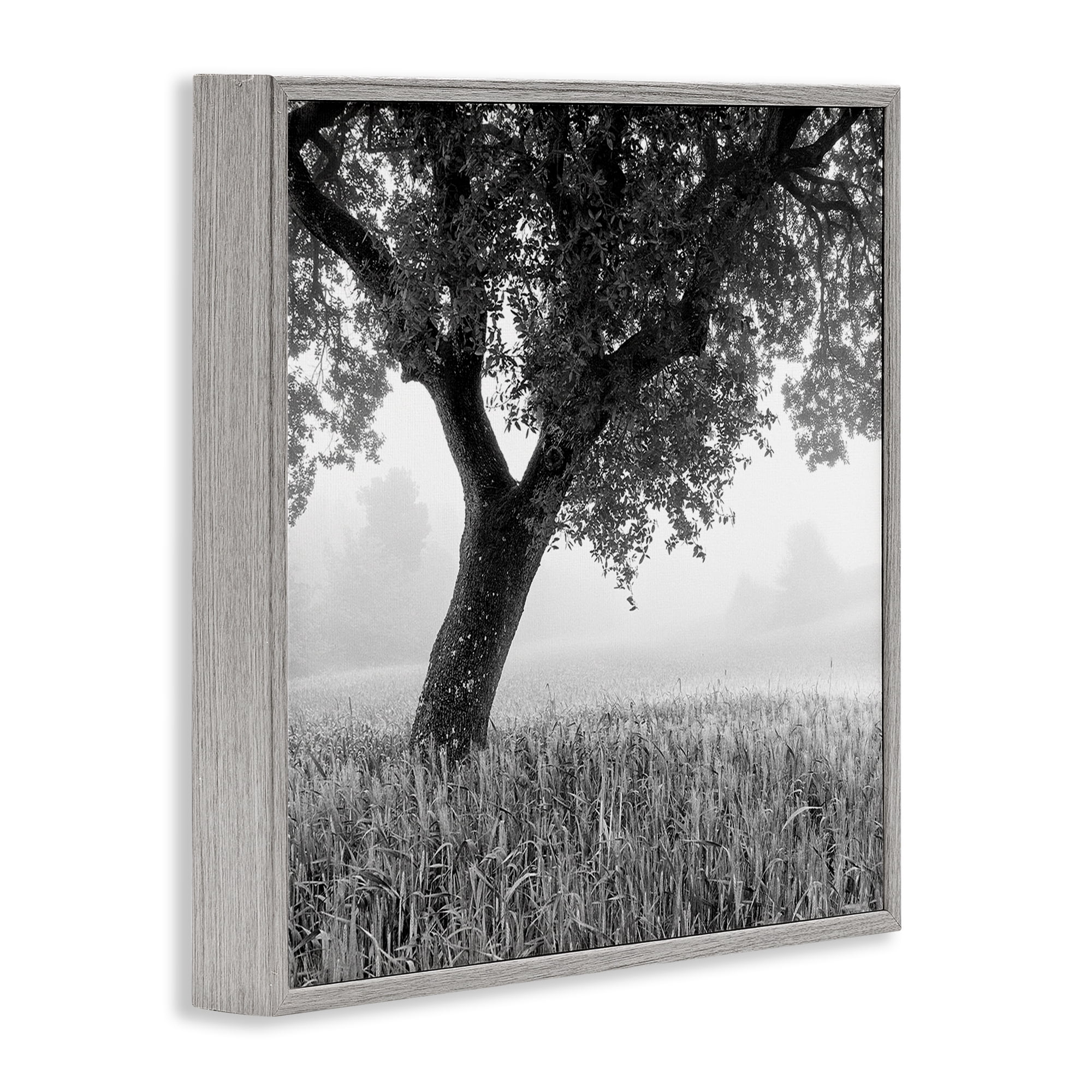 Stupell Industries Tuscan Morning Oak in Mist Gray Framed Giclee Art, design by Chip Forelli