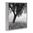 thumbnail image 2 of Stupell Industries Traditional Tuscan Morning Oak in Mist Gray Framed Giclee Art, 17 x 17, by Chip Forelli, 2 of 8