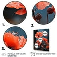 thumbnail image 3 of Designart "Wildfire Poppy Black Flowers Coral" Floral & Botanical Wall Art Living Room, 3 of 5