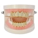 thumbnail image 2 of Parrillas de diamante para sus dientes para hombres y mujeres, chapadas en oro, con macro pavé de circonita cúbica, parrilla bucal con barras de moldeo adicionales incluidas, 2 of 5
