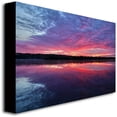 thumbnail image 2 of Trademark Art "The Mystery" Canvas Wall Art by CATeyes, 2 of 2