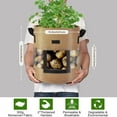 thumbnail image 2 of KORALAKIRI 3 Pack Potato Grow Bags 10 Gallon Potato Bag with 360° Visible Window, Planter Bags for Potato,Tomato, Carrot, Onion(Brown), 2 of 6