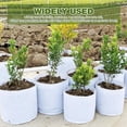 thumbnail image 3 of Macetas de tela para plantas, bolsas de tela para plantar, bolsas para plantar, cultiva tu jardín en cualquier lugar con bolsas de plantación portátiles, 5 unidades, 3 of 5